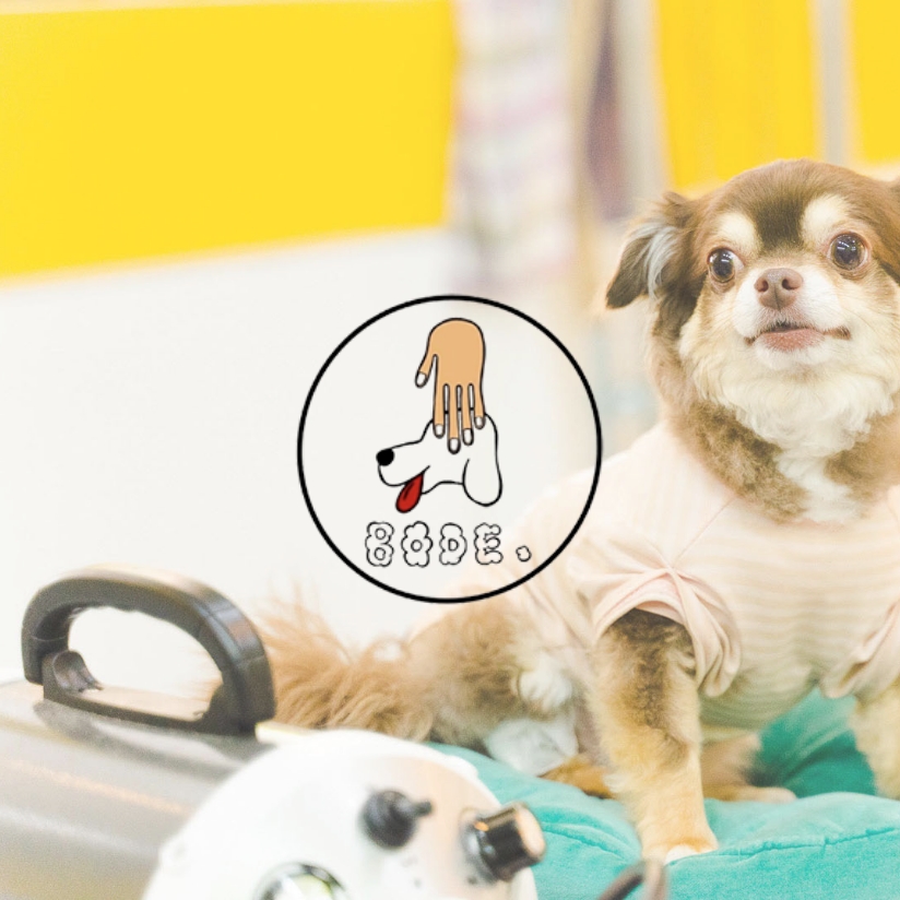 Grooming care salon BODE